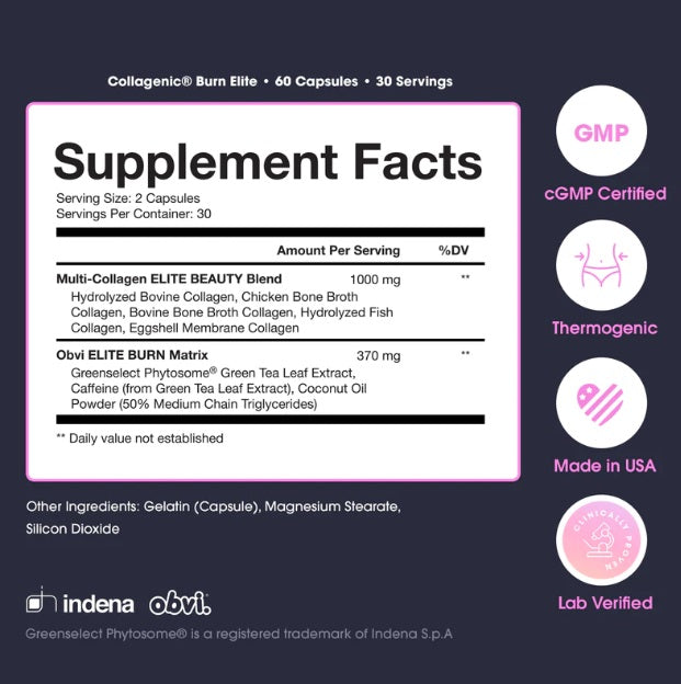 Obvi Burn Elite 60 Capsules Lockout Supplements