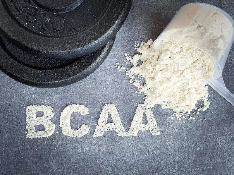 BCAAs in 2026: Why These Essential Aminos Still Dominate the Fitness World