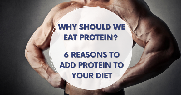 reason you should eat protein