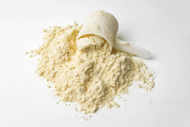Whey vs Plant Protein — Which One Should You Take?