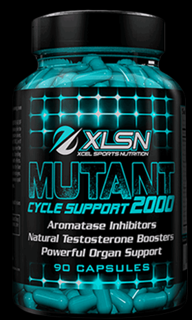 XCEL Sports: XLSN Mutant Cycle Support 2000
