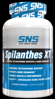 SNS: Spilanthes XT, 60 Capsules