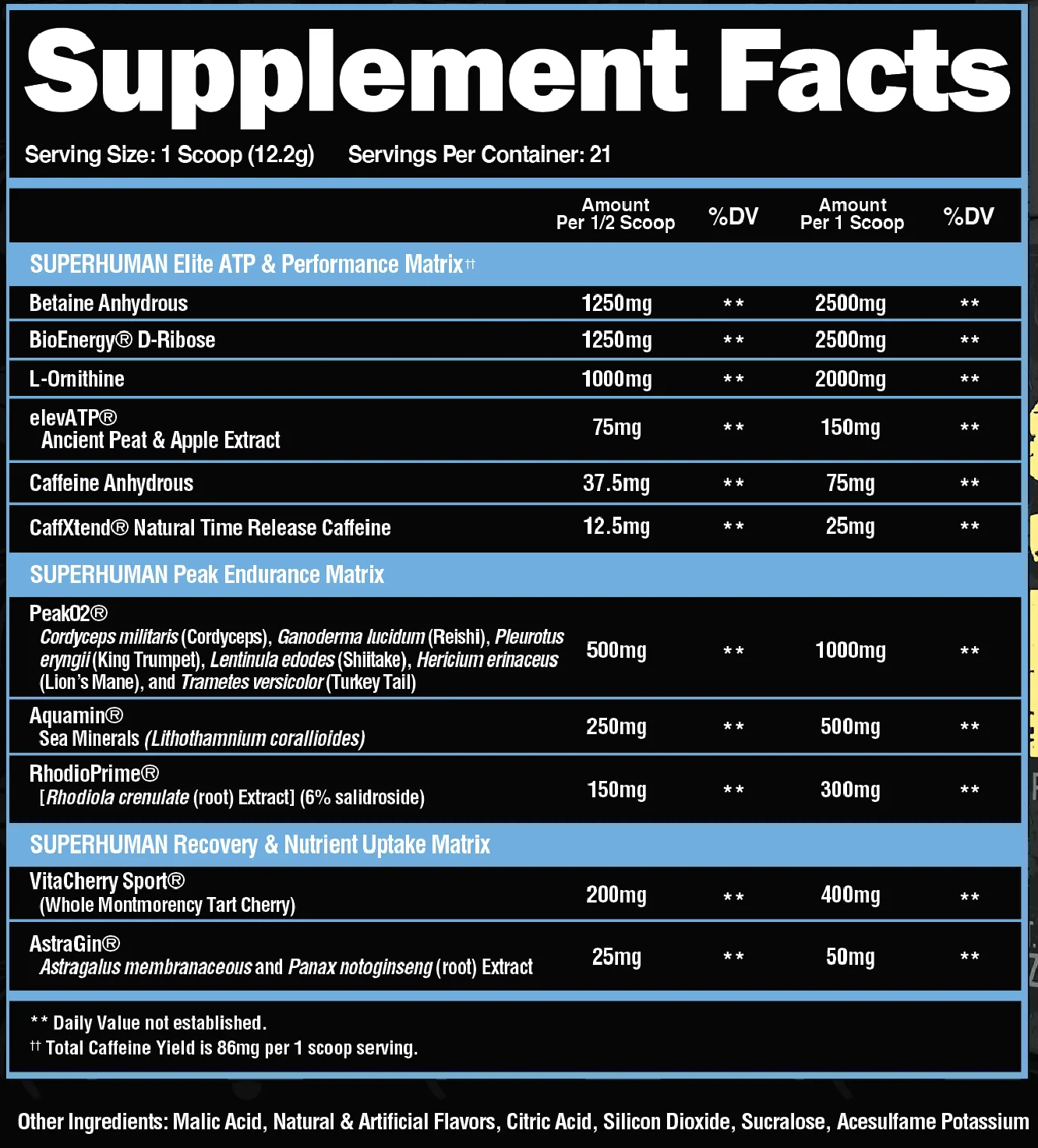 Alpha Lion: Super Human Sport